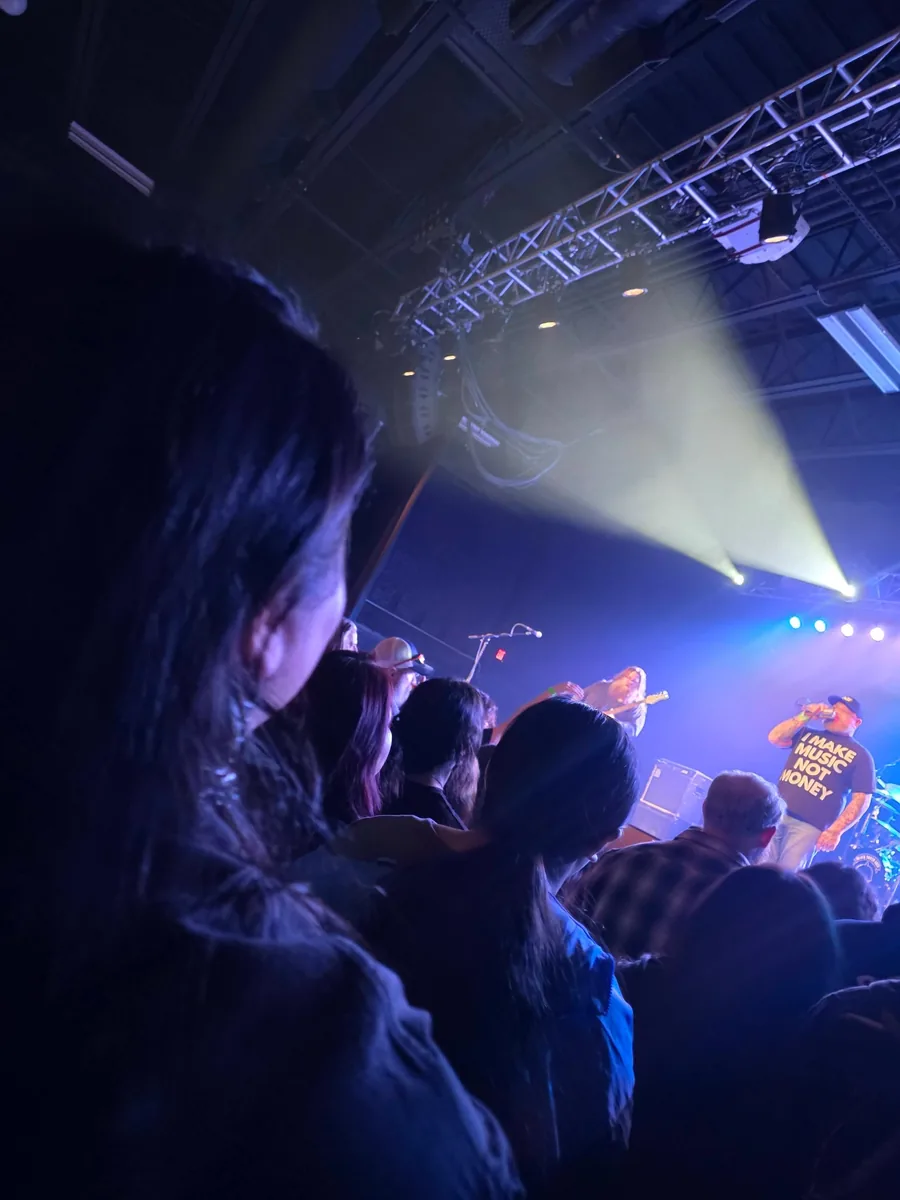 Crowd-level view of Black Tooth Grin performing under bright stage lights